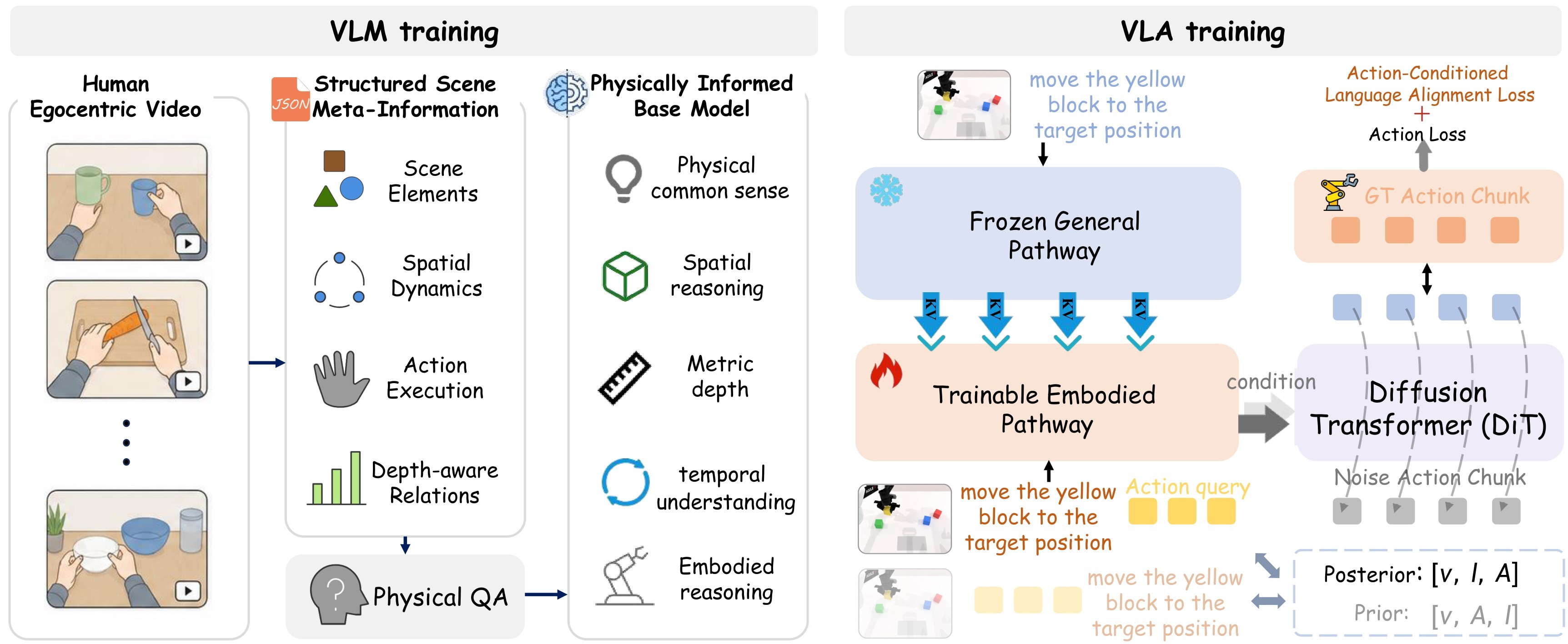 Figure 3. PhysBrain training and adaptation pipeline.