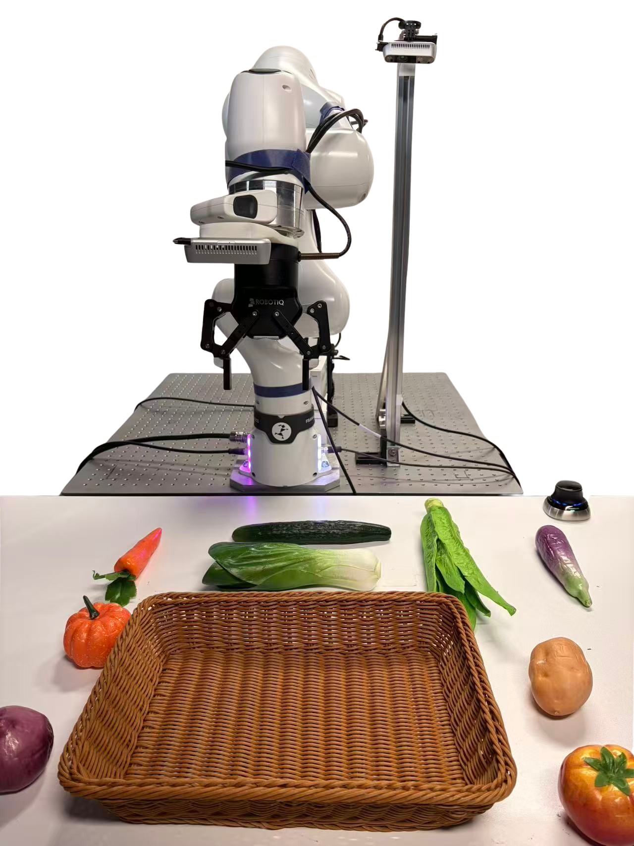 Figure 5a. Franka setup front view.