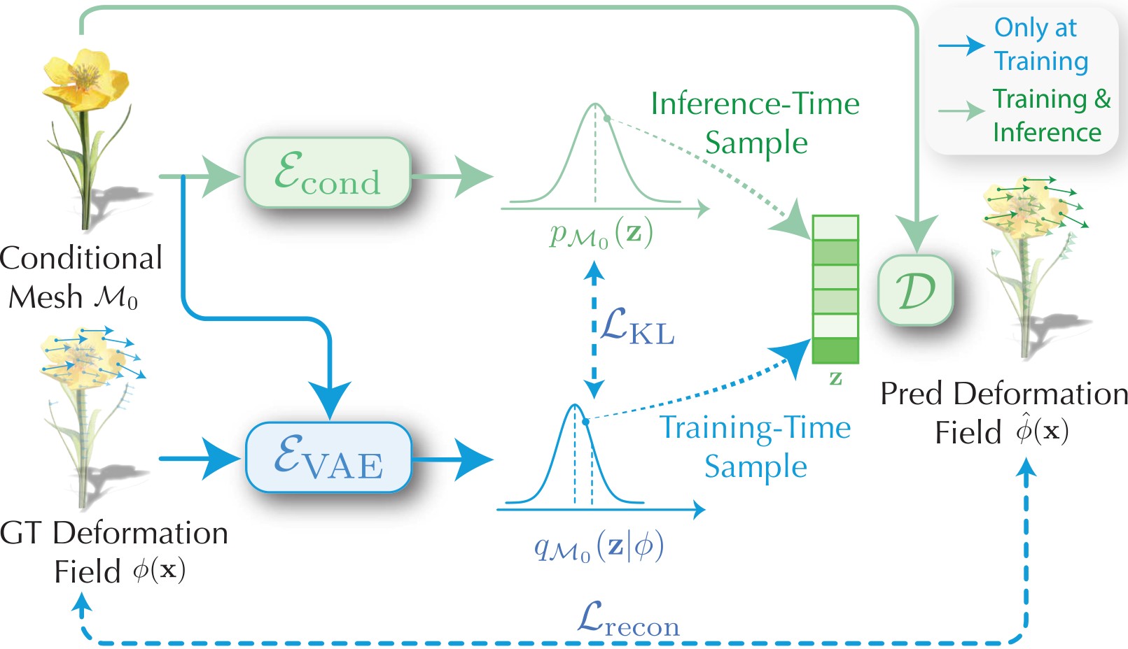Figure 3. Generative learning of NeuROK.