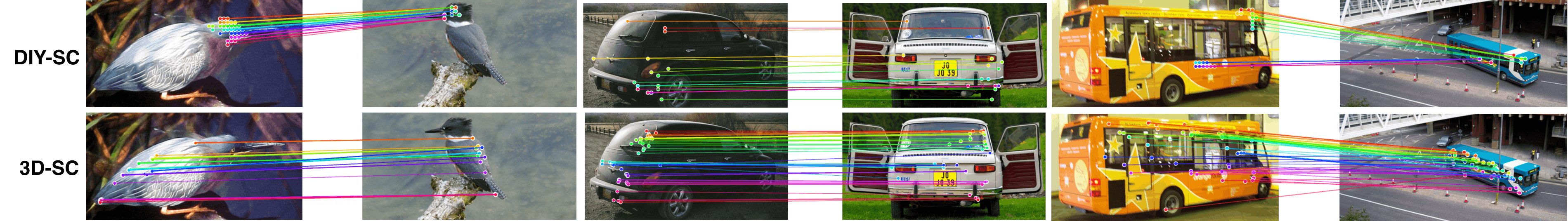 Qualitative pseudo-annotations from 3D-SC and DIY-SC