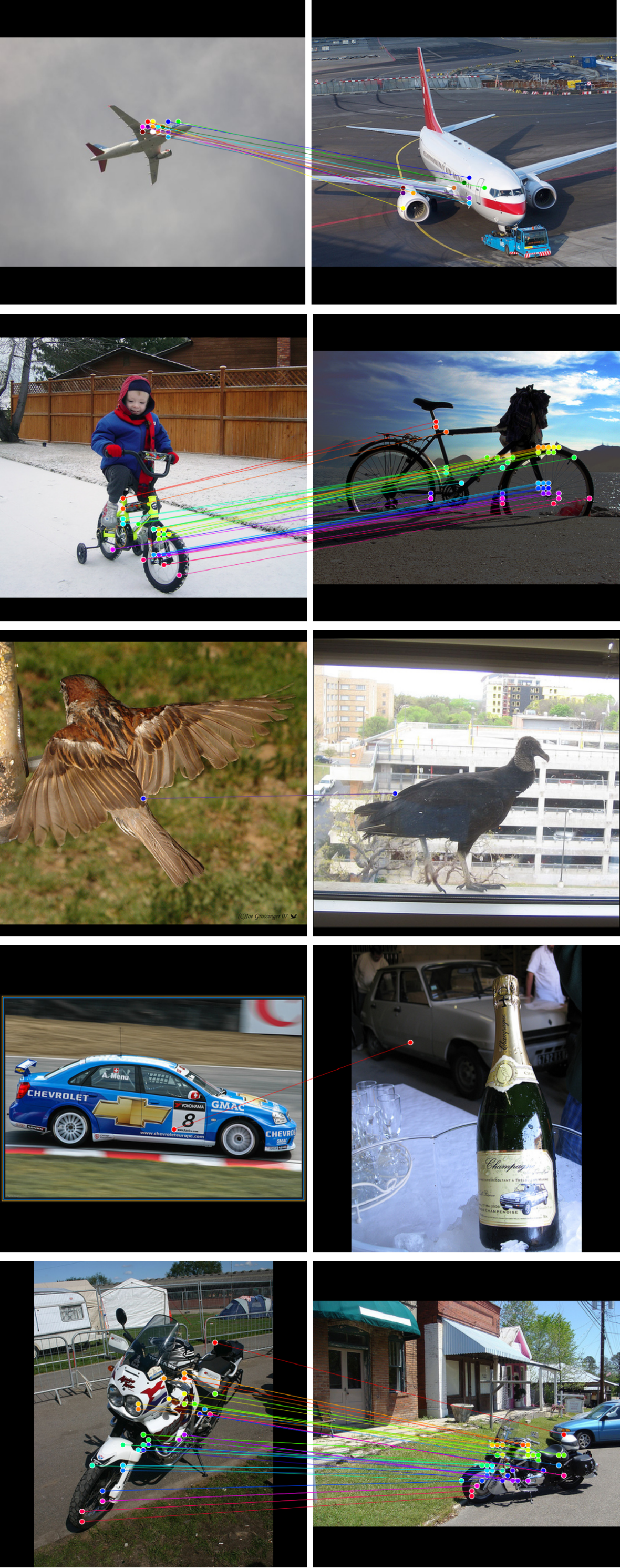 Supplementary pseudo-annotation comparison 2